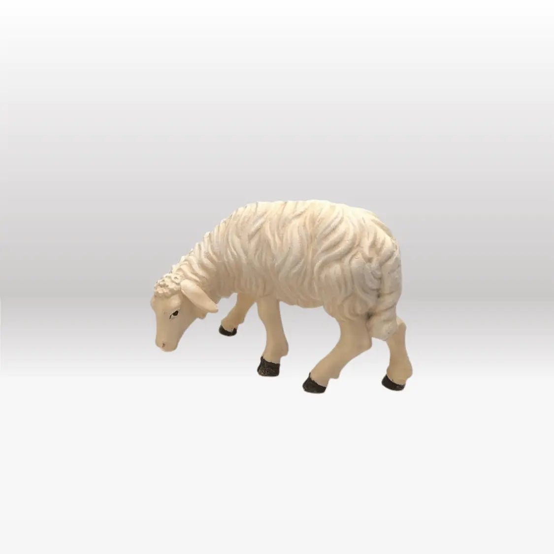 Schaf fressend linksschauend von Kostner-3