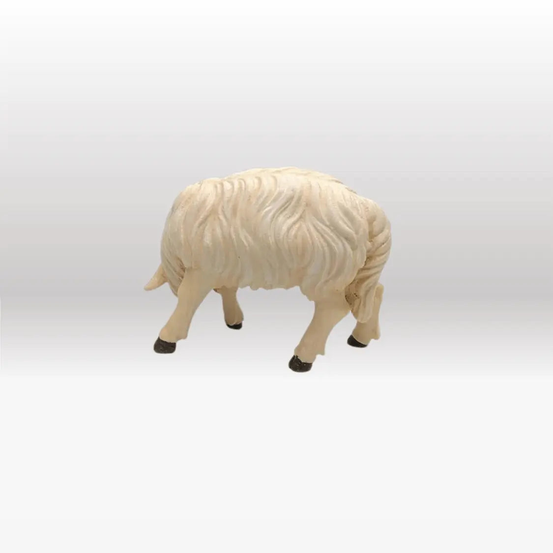 Schaf fressend rechtsschauend von Kostner-3