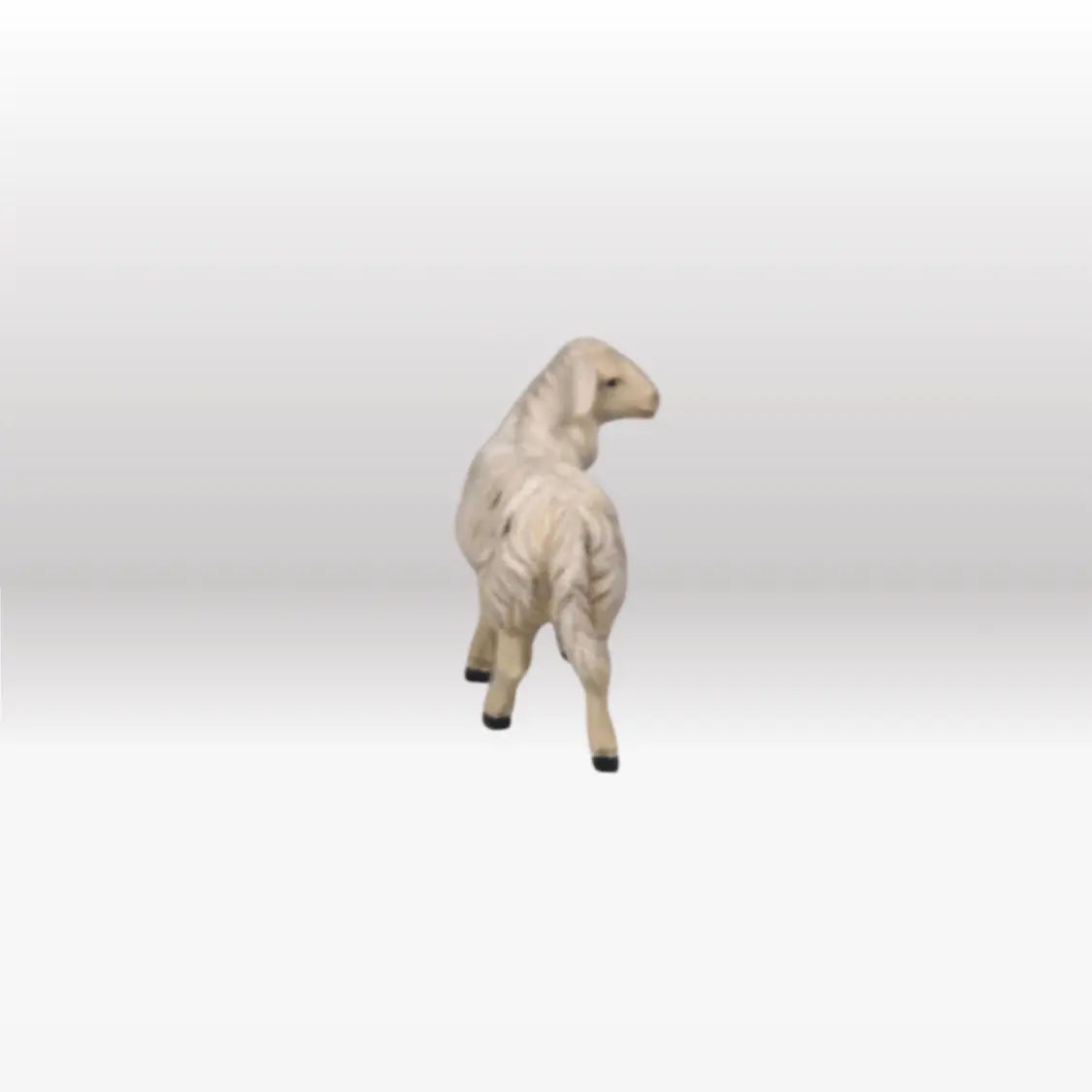 Schaf stehend rechtsschauend von Kostner-3