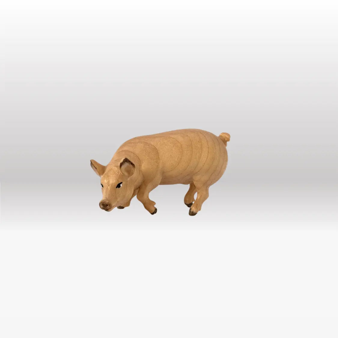 Schwein von Kostner-1